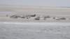 HWK Texel 2015 069_small.jpg